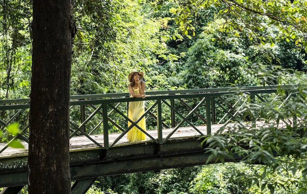 Vythiri-Village-Nature