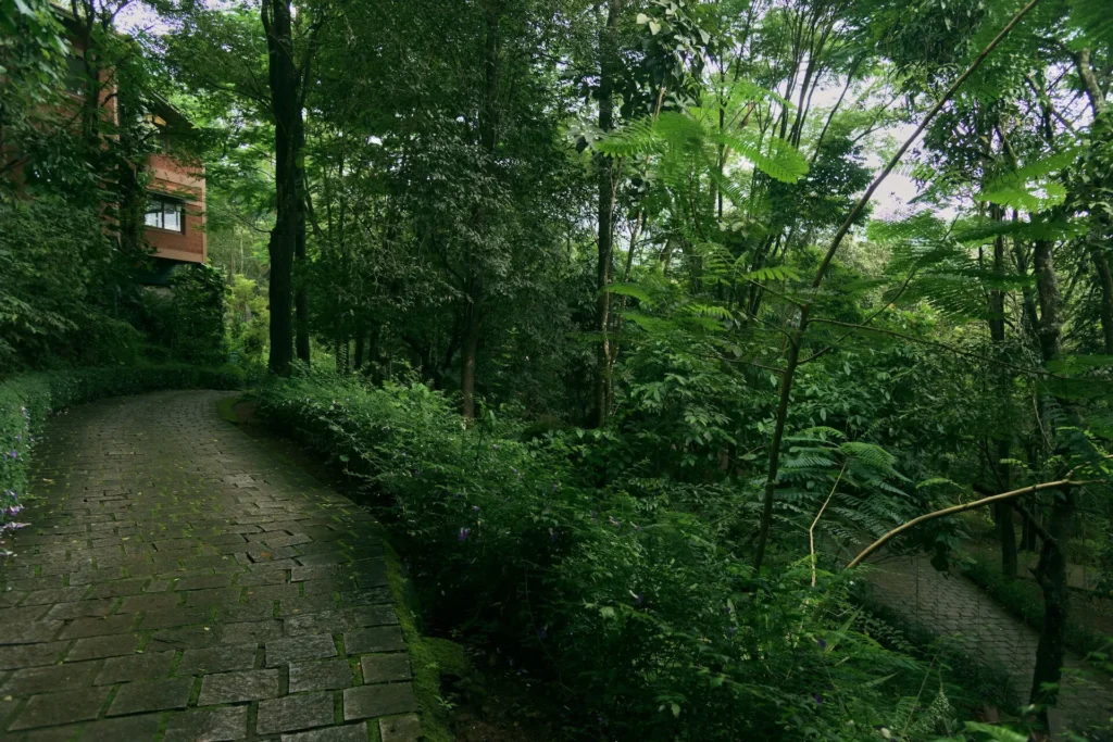 Vythiri-Village-Resort-Bonanza-Package