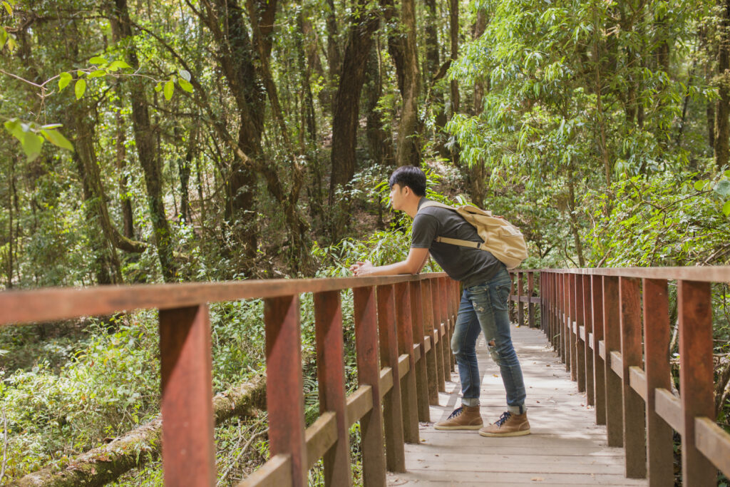 Guided Nature Trails