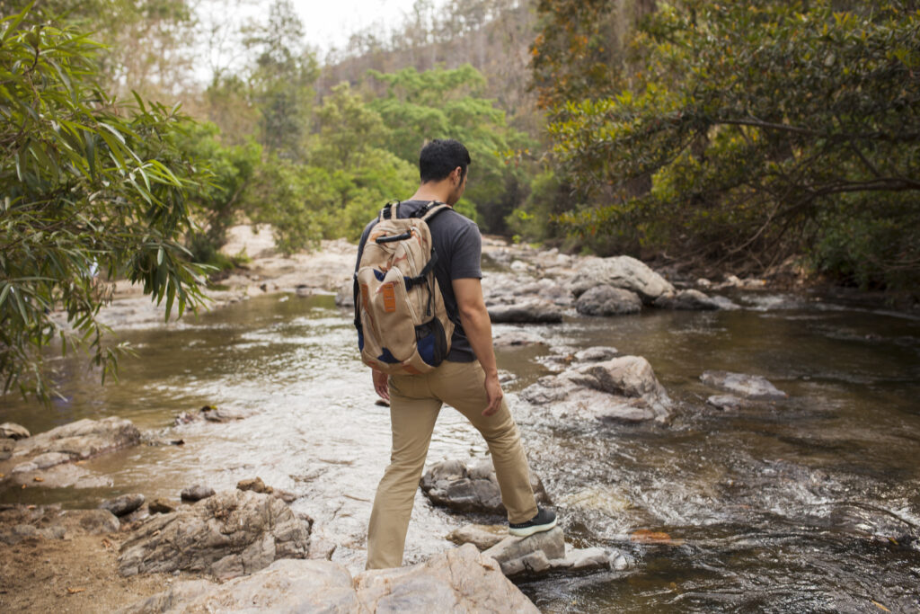 Stream Walk